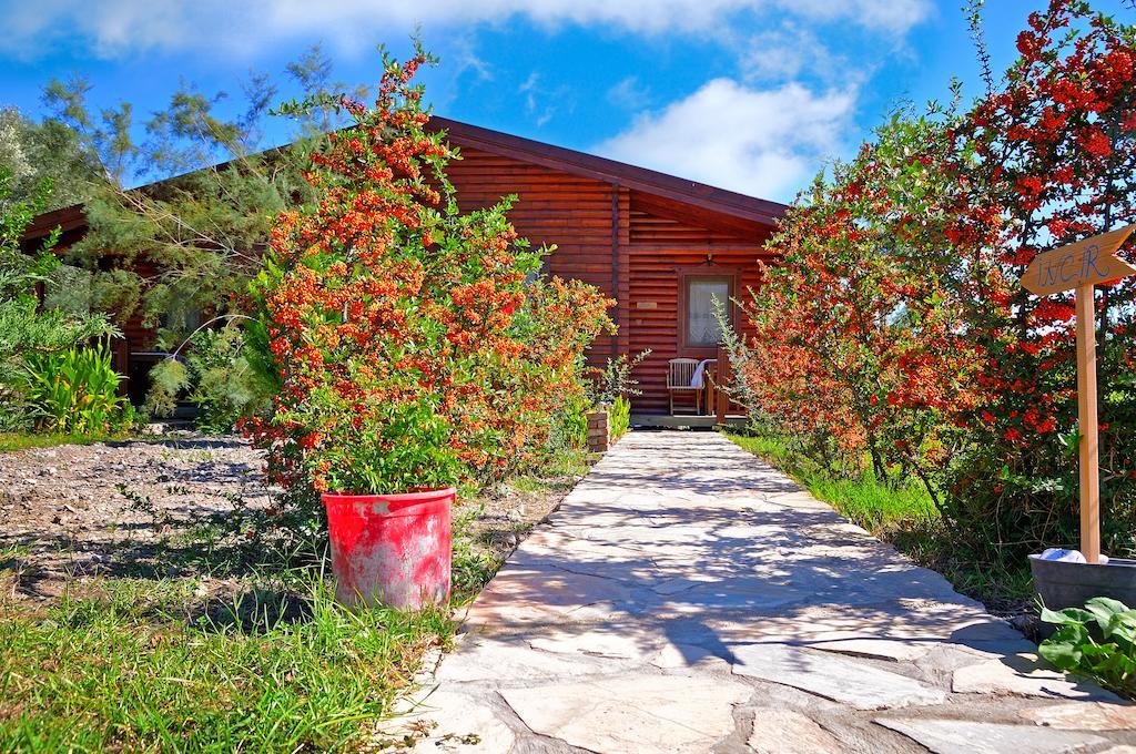 Hayitbuku Ahsapevleri Guest House Mesudiye  Exterior photo