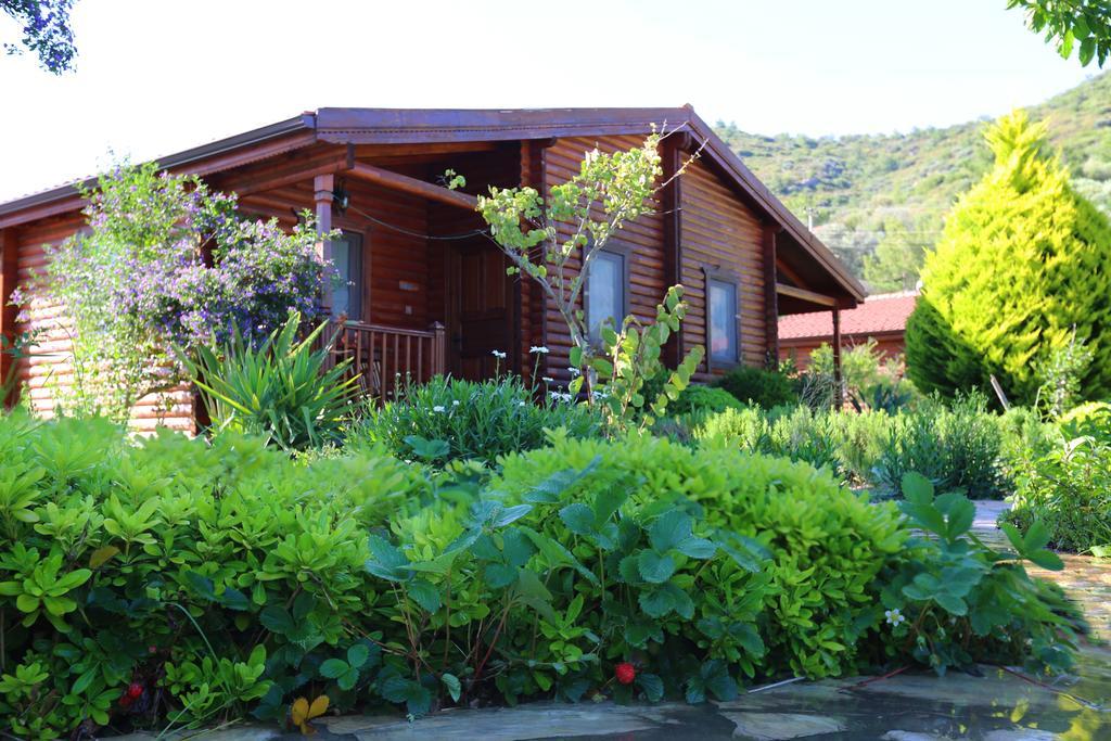 Hayitbuku Ahsapevleri Guest House Mesudiye  Exterior photo