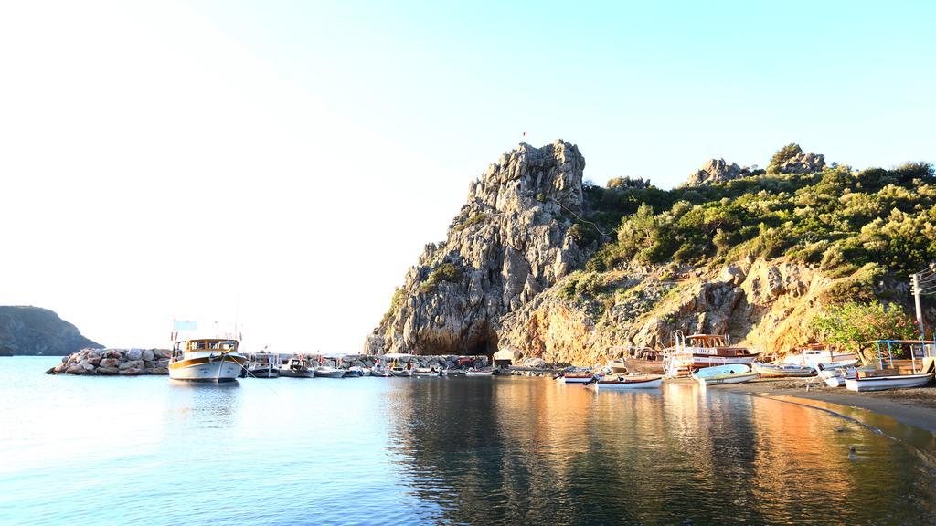 Hayitbuku Ahsapevleri Guest House Mesudiye  Exterior photo