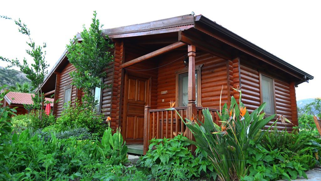 Hayitbuku Ahsapevleri Guest House Mesudiye  Exterior photo